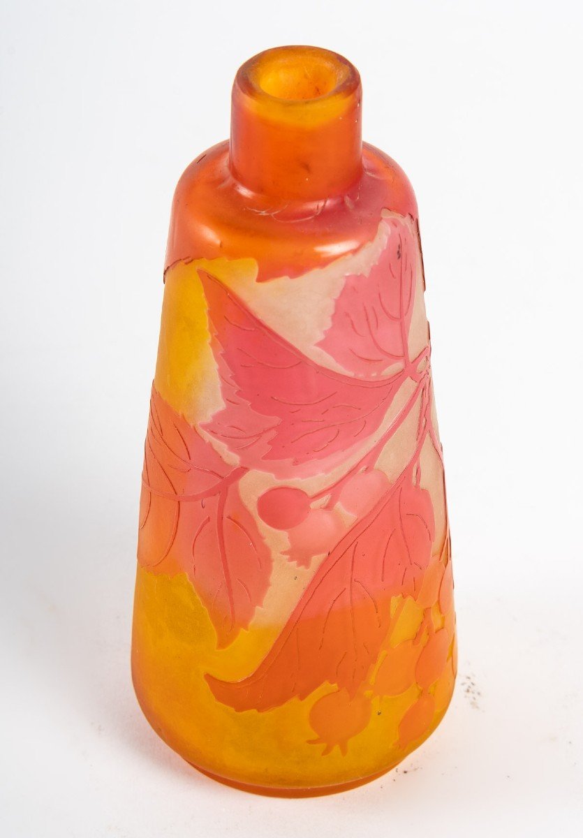 Emile Gallé, Vase "with Fruits Of Roses"-photo-4