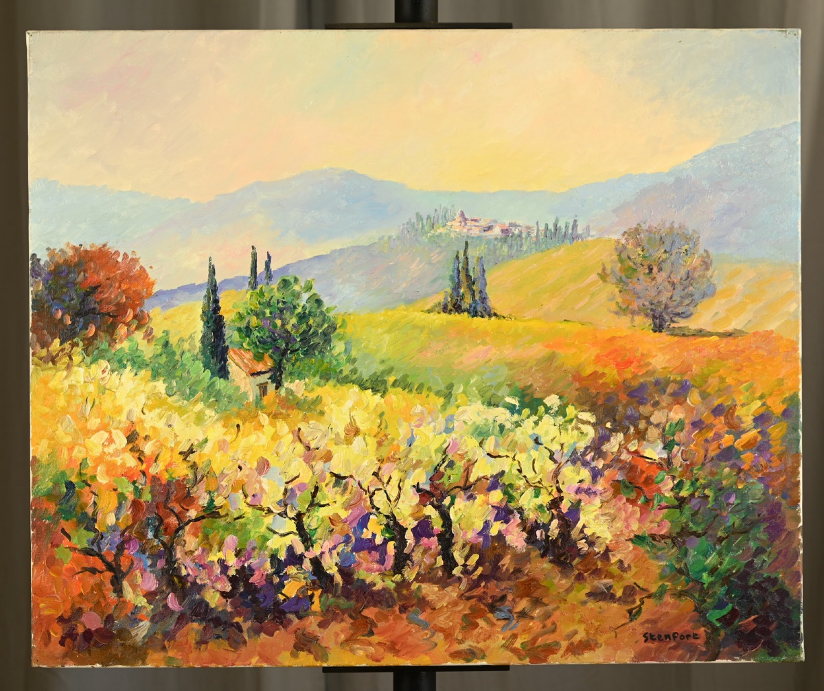  Christiane STENFORT (1940) : Vignoble minervois-photo-4