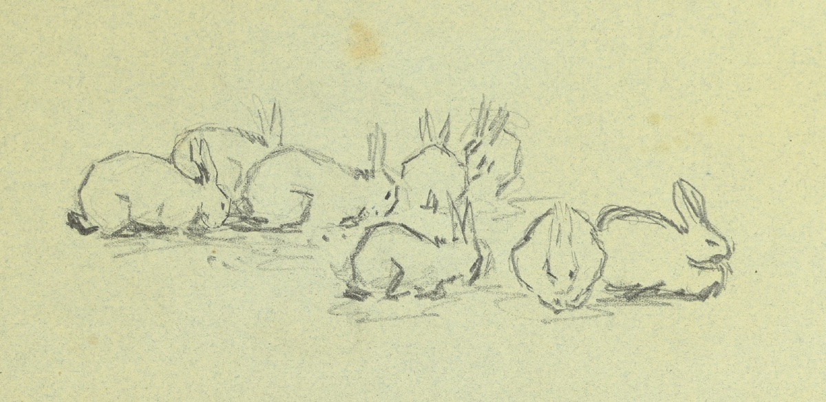  Camille PISSARRO (1830 - 1903) : Etude de mains, Etude de lapins-photo-3