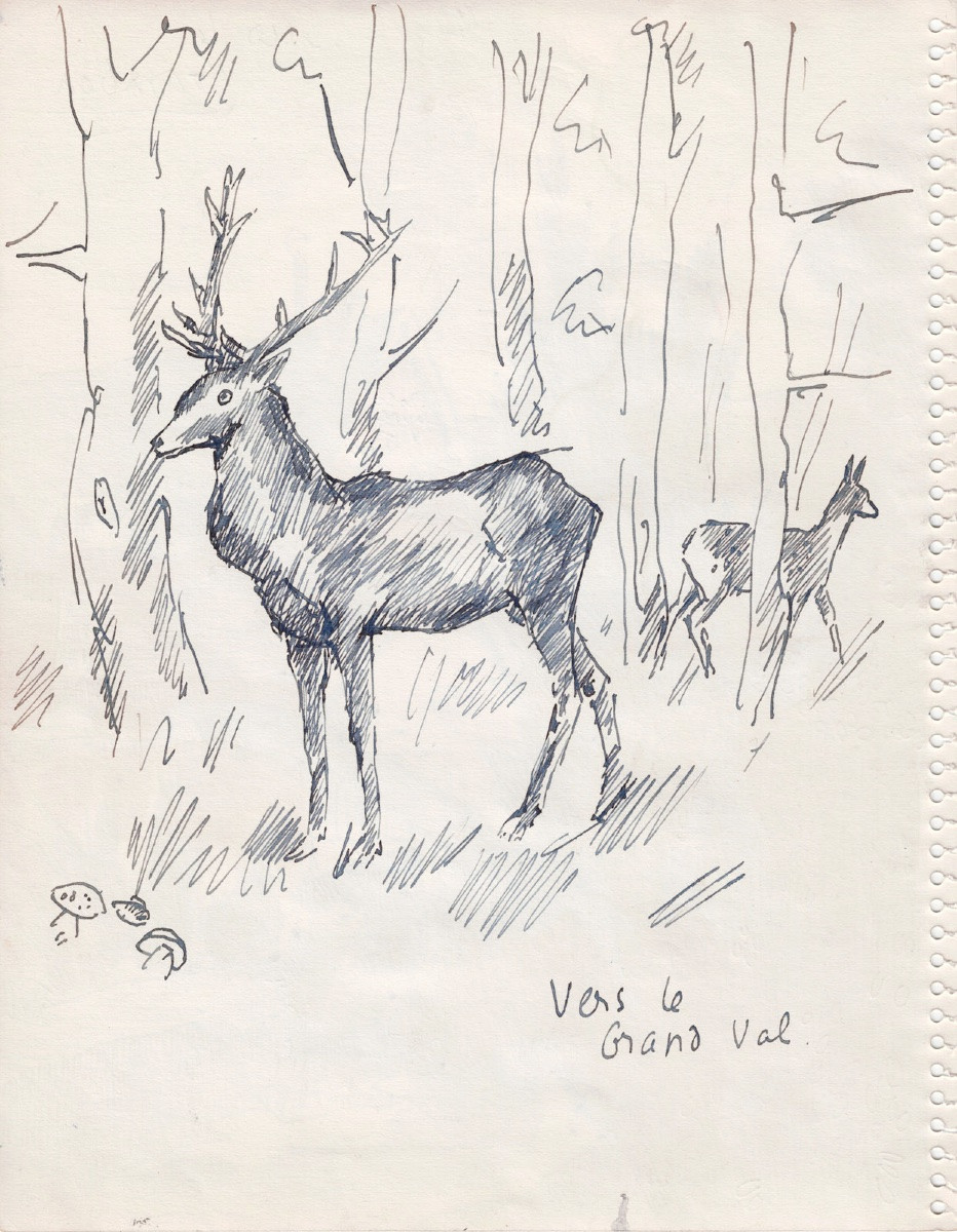  René SAUTIN (1881 - 1968)  : Sur le Gambon - Vers le Grand Val -photo-2