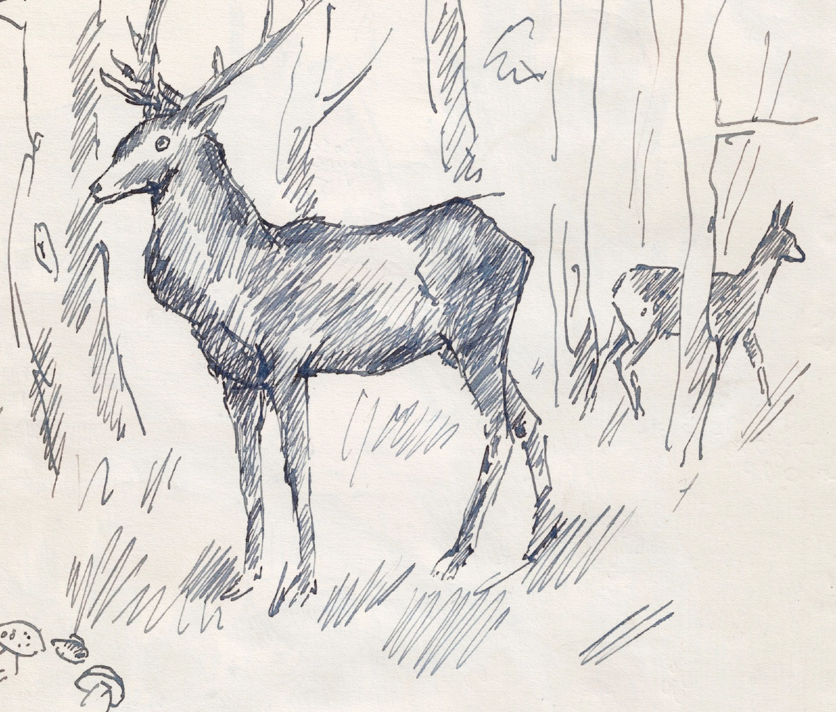  René SAUTIN (1881 - 1968)  : Sur le Gambon - Vers le Grand Val -photo-2