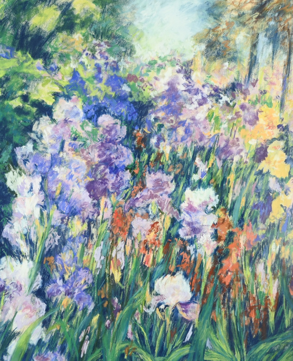  Rose Barbe: Irises-photo-1