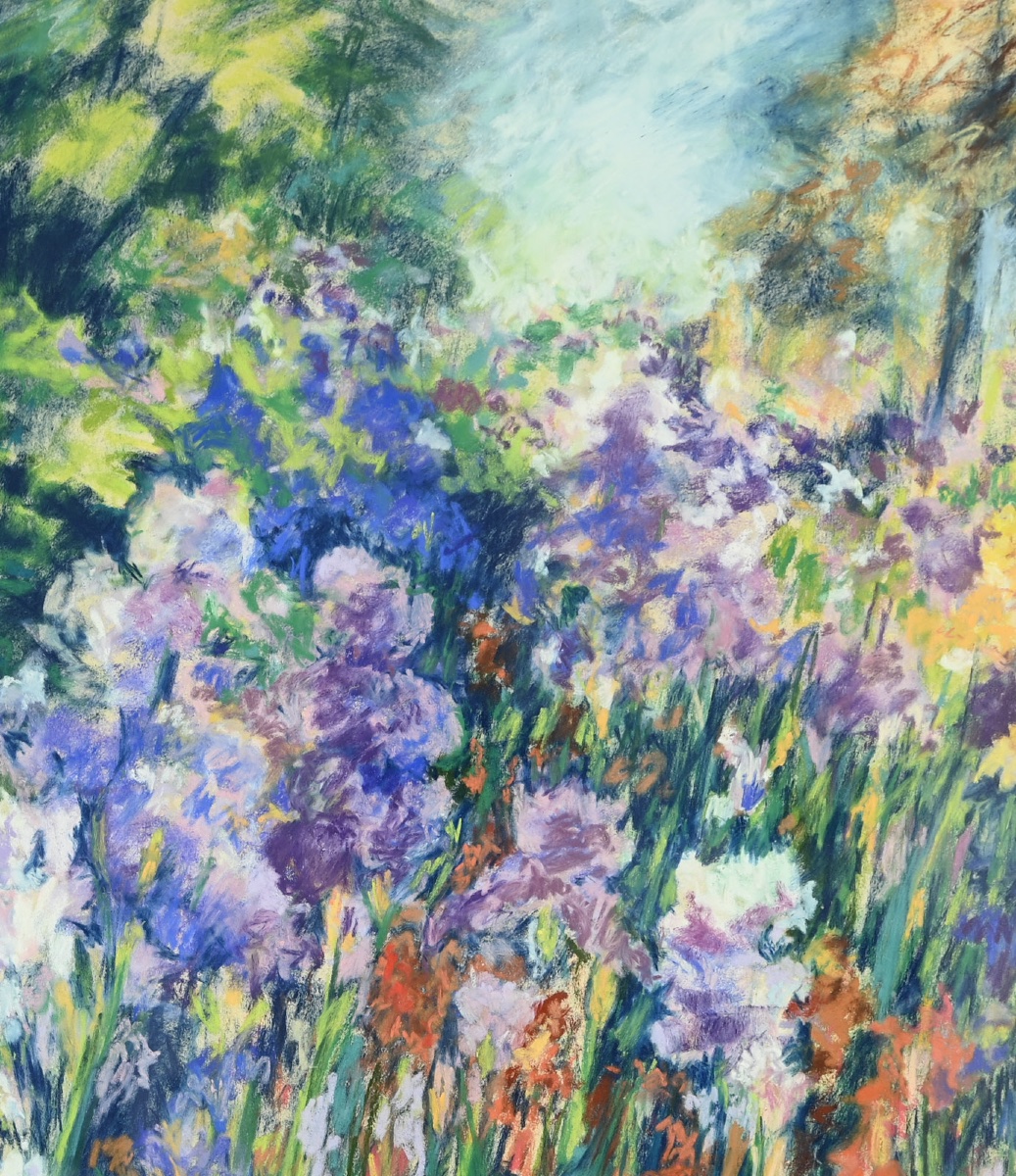  Rose Barbe: Irises-photo-2