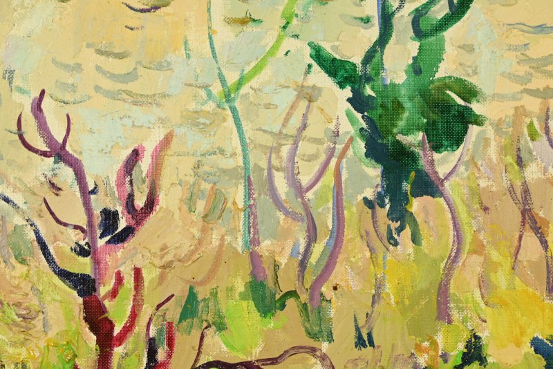 Summer In Herqueville-photo-3