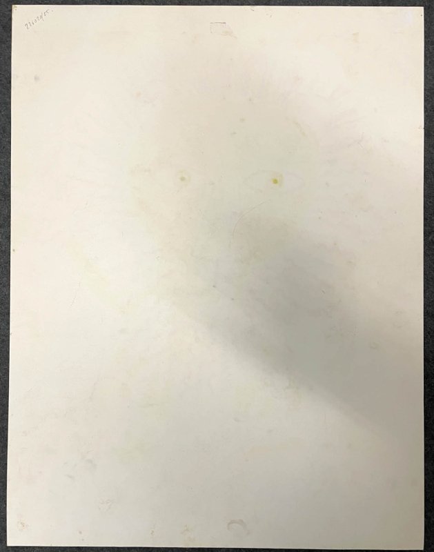 Henri Hecht MAIK (1922-1993) : Le lion et la fleur-photo-4