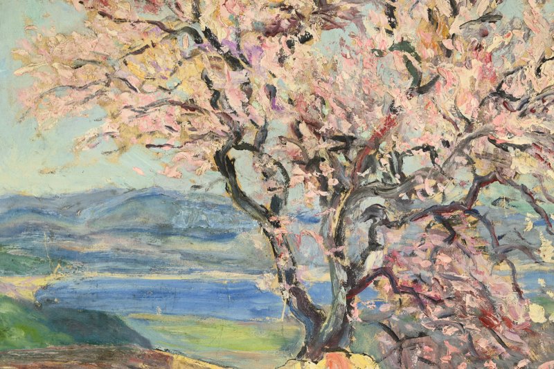 Julien FERON (1864-1944) : Amandier en fleurs à Gassin-photo-2