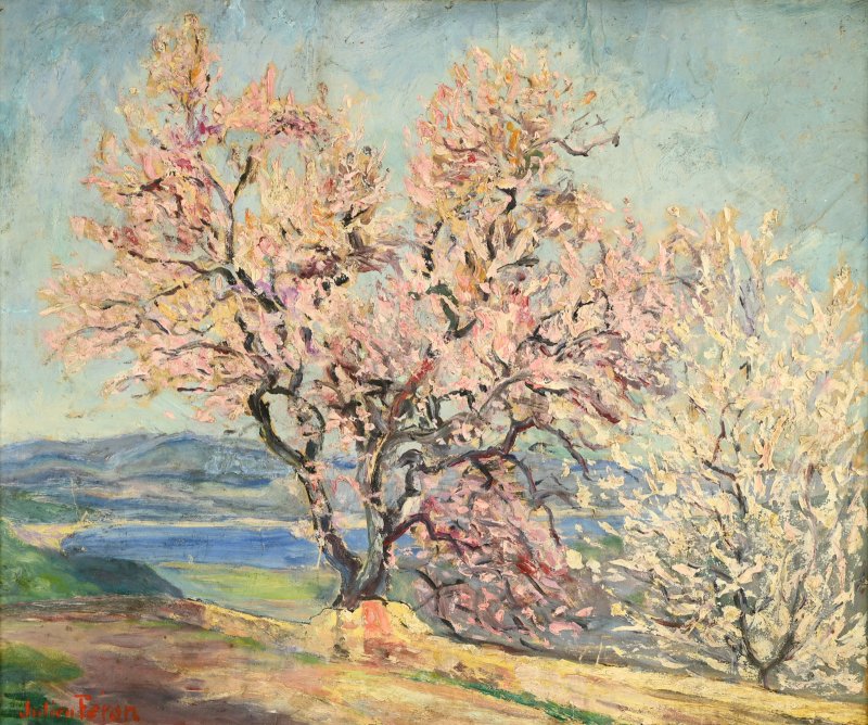 Julien FERON (1864-1944) : Amandier en fleurs à Gassin-photo-1