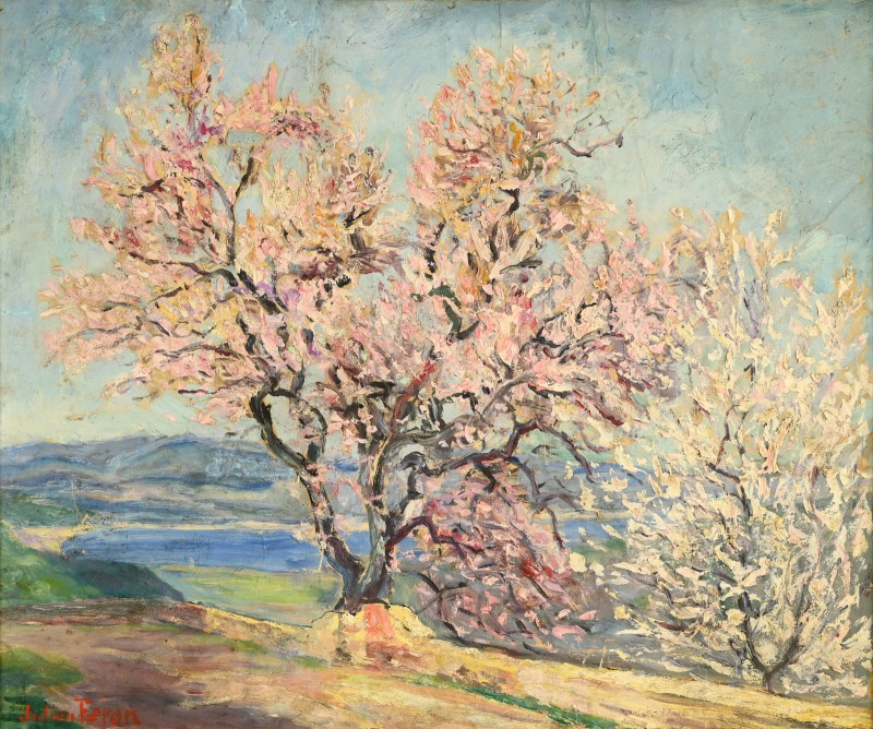 Julien FERON (1864-1944) : Amandier en fleurs à Gassin