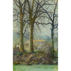  Raymond THIBESART (1874 - 1968) : Les trois platanes