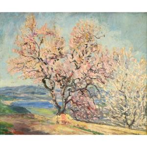 Julien FERON (1864-1944) : Amandier en fleurs à Gassin
