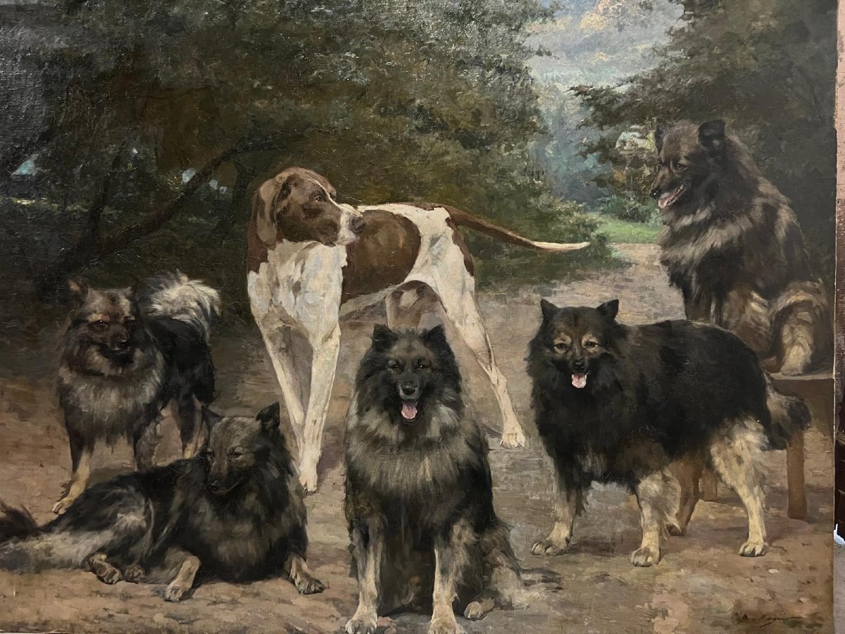 Tableau Réunion de chiens dans un Parc, Signé, Jean Mayné, 1854-1924,Huile sur toile maroufler -photo-1