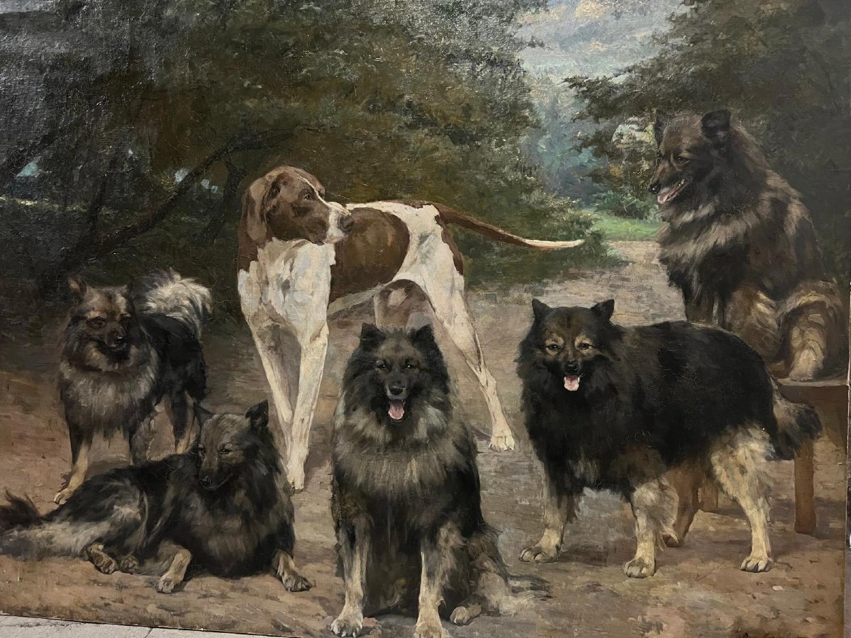 Tableau Réunion de chiens dans un Parc, Signé, Jean Mayné, 1854-1924,Huile sur toile maroufler -photo-2