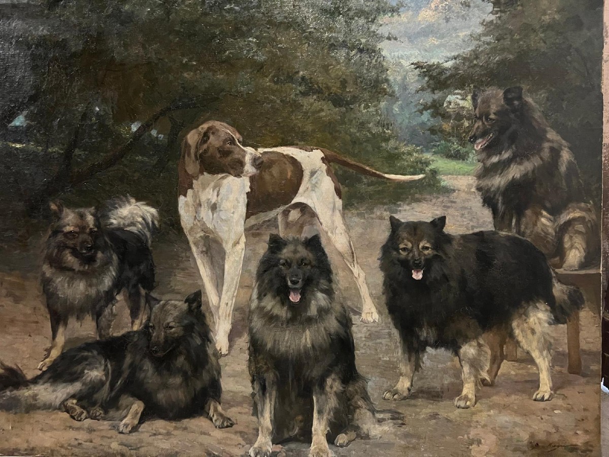 Tableau Réunion de chiens dans un Parc, Signé, Jean Mayné, 1854-1924,Huile sur toile maroufler 