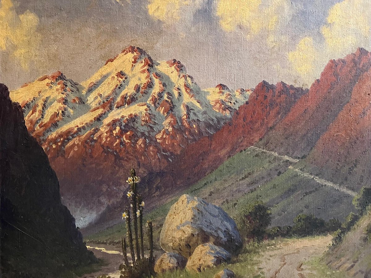 Tableau Signé Illisible, Montagnes et cactus,  Huile sur toile. -photo-3