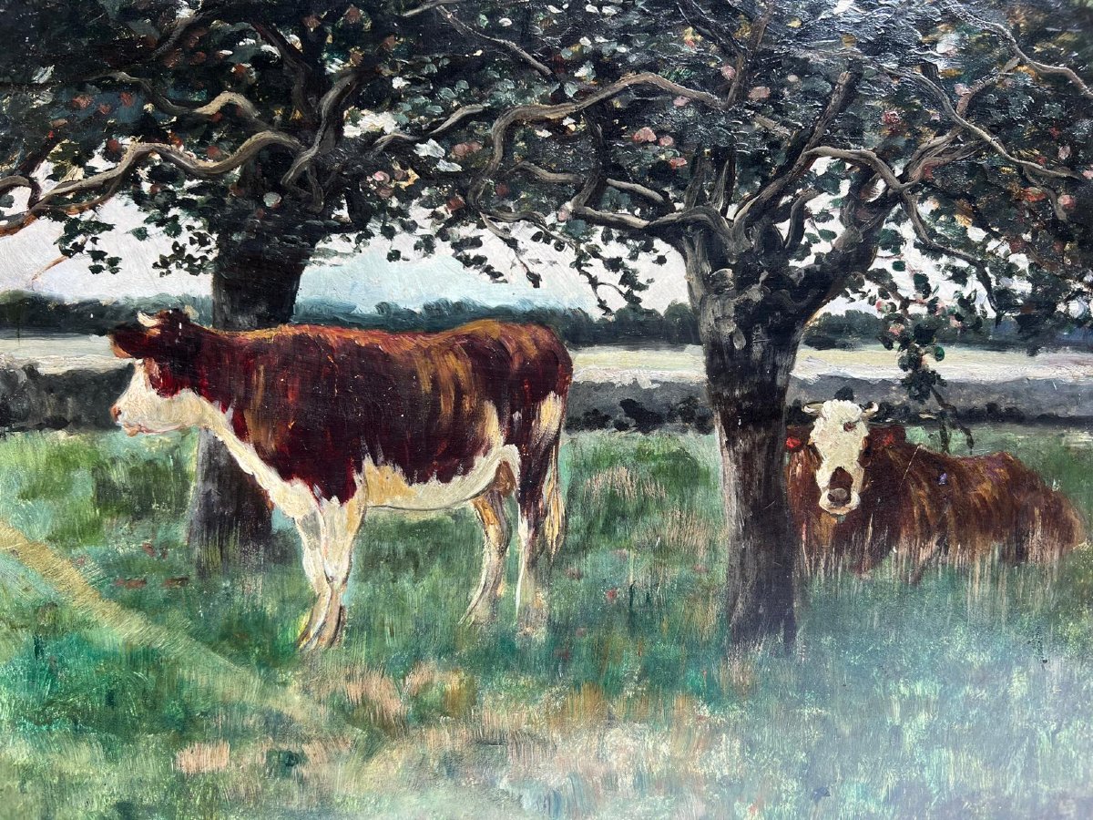 Tableau  Vaches dans  le Près Signé,  Émile  Van  Marck,  1875-1918,Huile sur bois. -photo-1