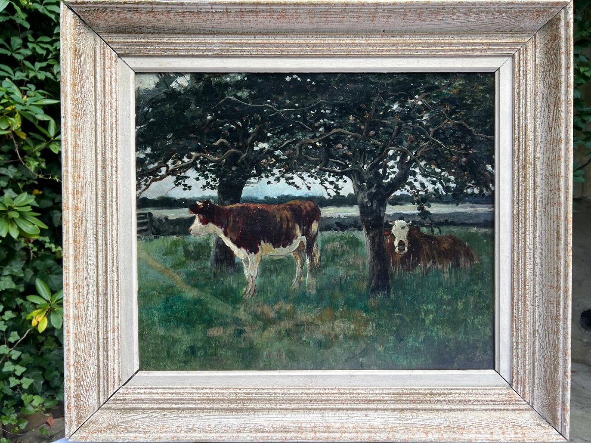 Tableau  Vaches dans  le Près Signé,  Émile  Van  Marck,  1875-1918,Huile sur bois. -photo-2