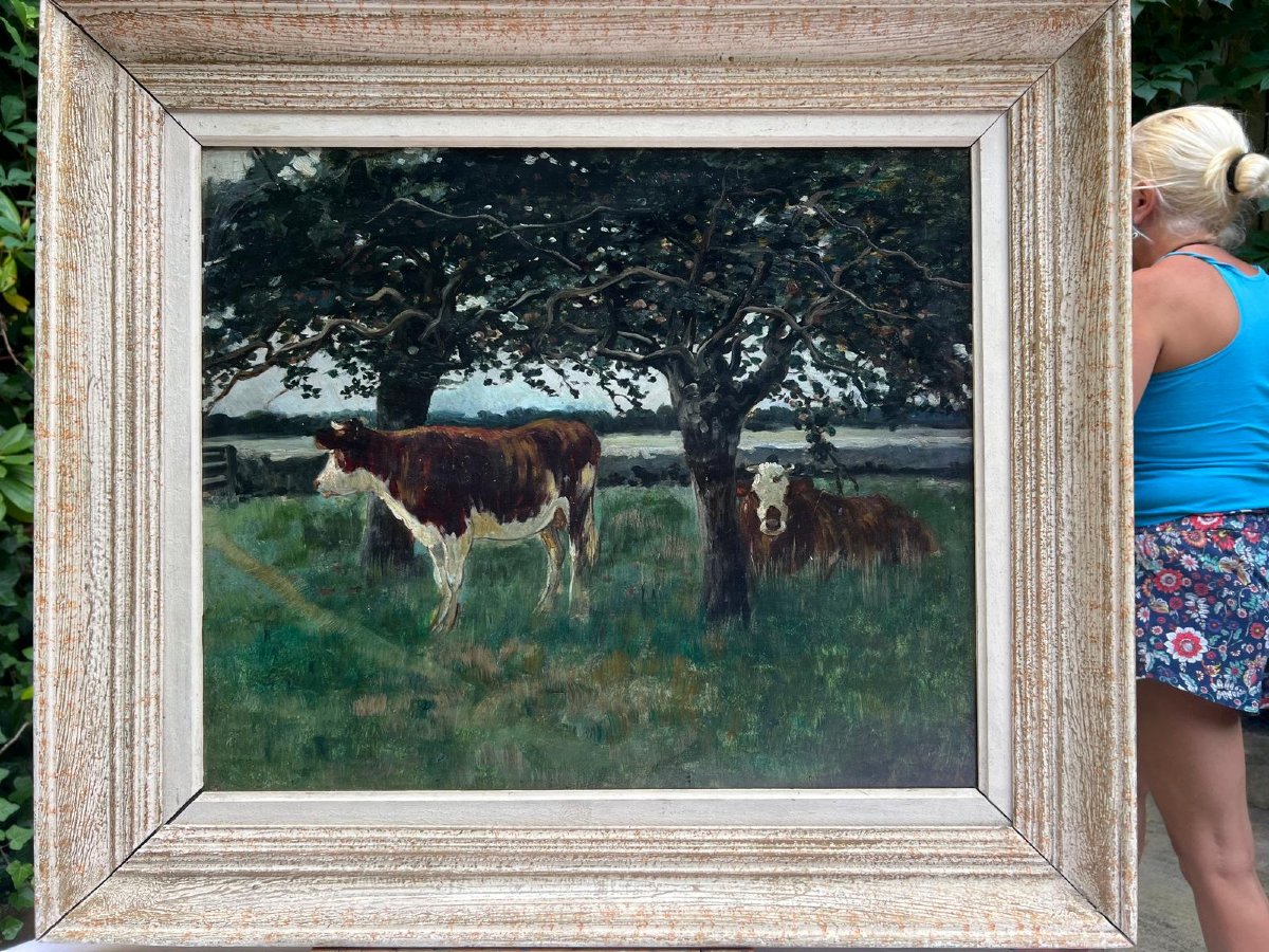 Tableau  Vaches dans  le Près Signé,  Émile  Van  Marck,  1875-1918,Huile sur bois. -photo-3