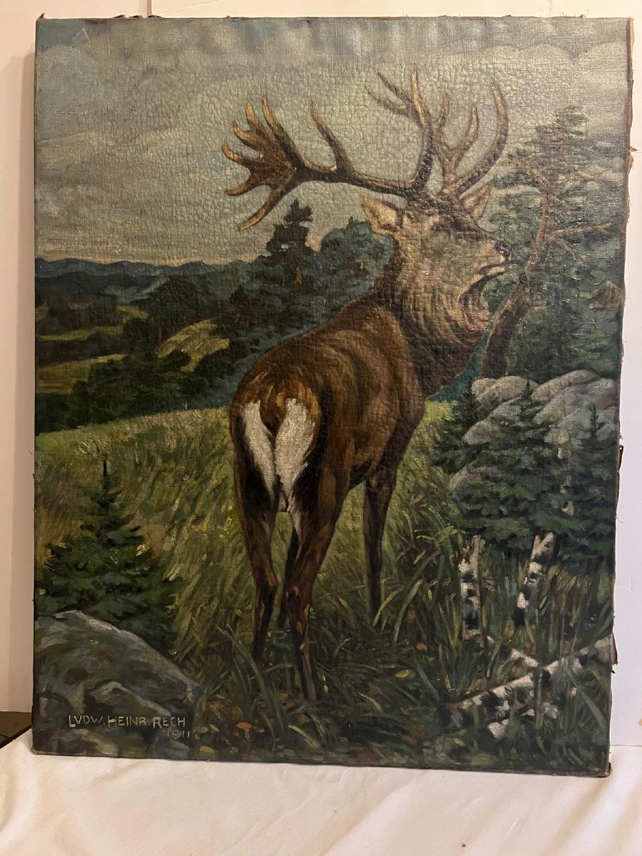 Tableau  le  Cerf  Roi de nous  Forêt Signé , Heinrich  Rech  1911.-photo-3