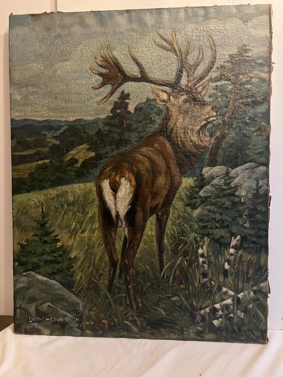 Tableau  le  Cerf  Roi de nous  Forêt Signé , Heinrich  Rech  1911.-photo-4