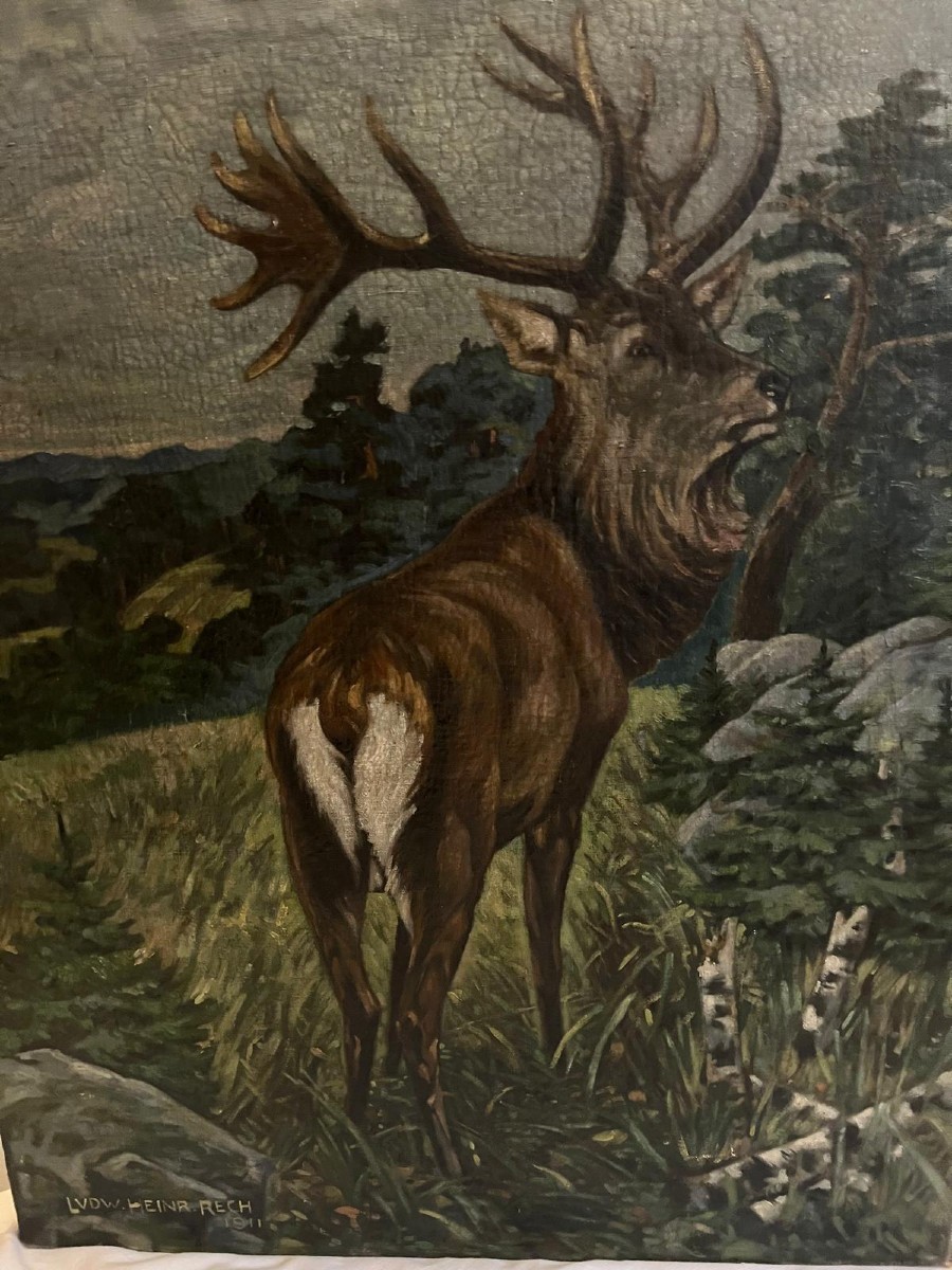 Tableau  le  Cerf  Roi de nous  Forêt Signé , Heinrich  Rech  1911.