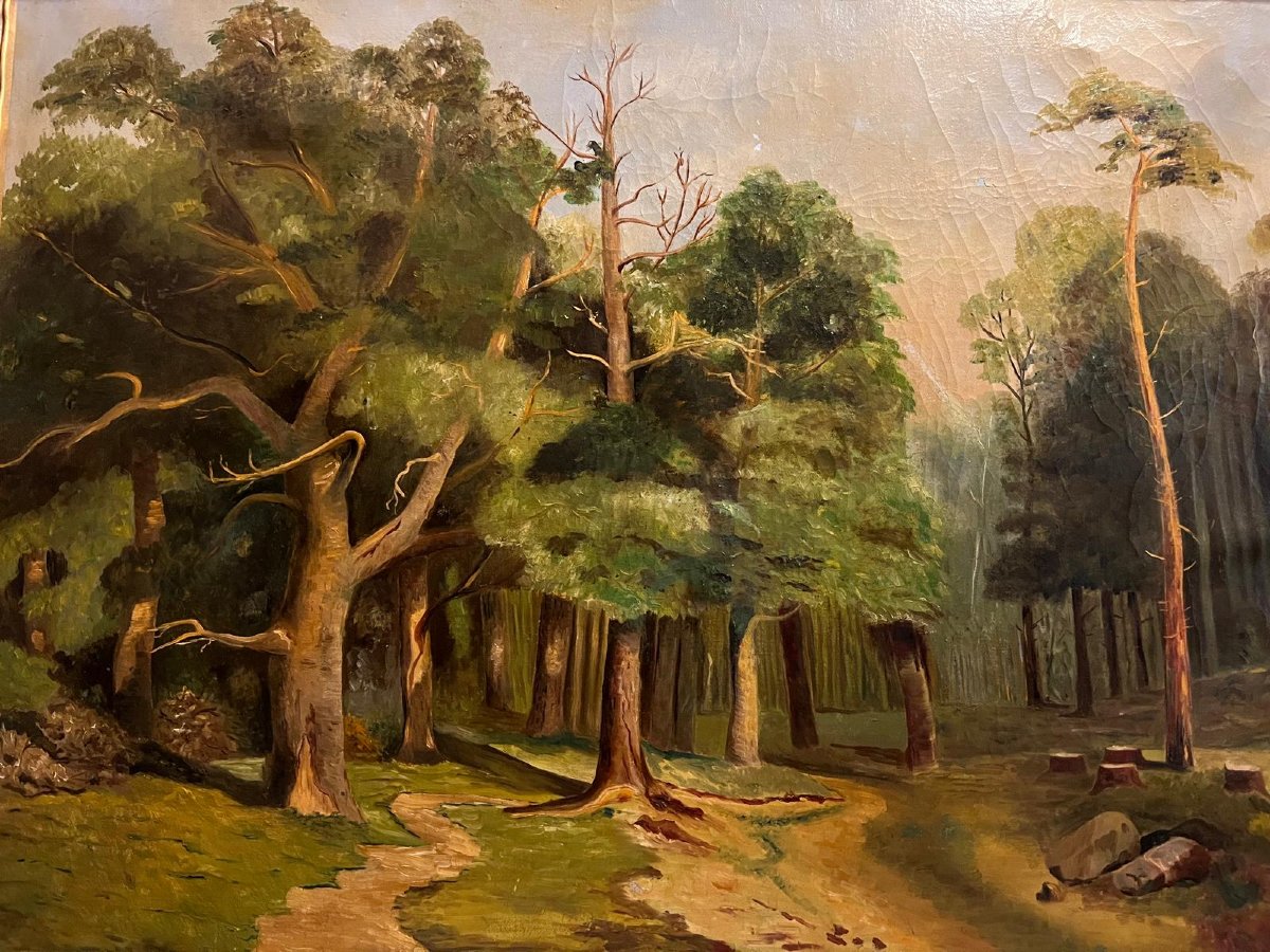 Tableau  Paysage  Forêt  XX  ème,  Huile  sur toile.  " Petite  restauration "-photo-2