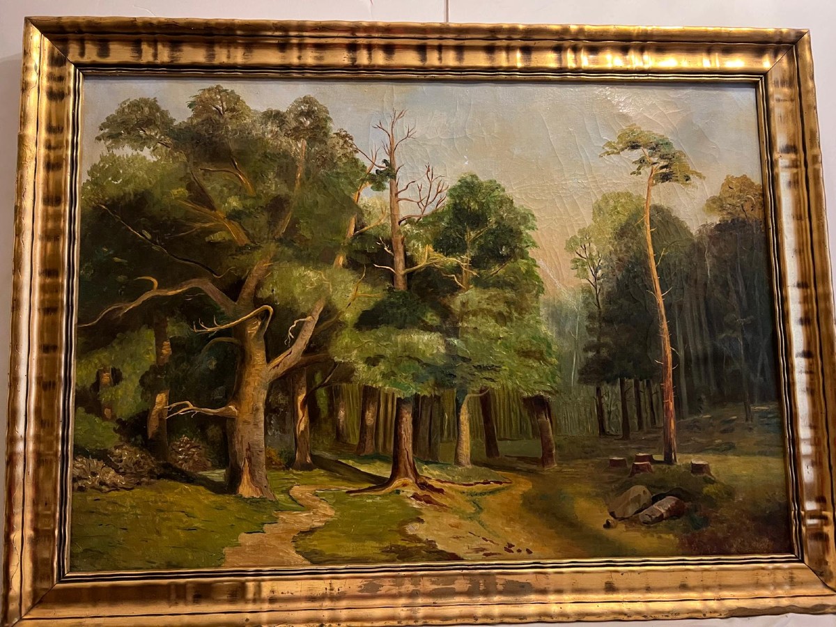 Tableau  Paysage  Forêt  XX  ème,  Huile  sur toile.  " Petite  restauration "