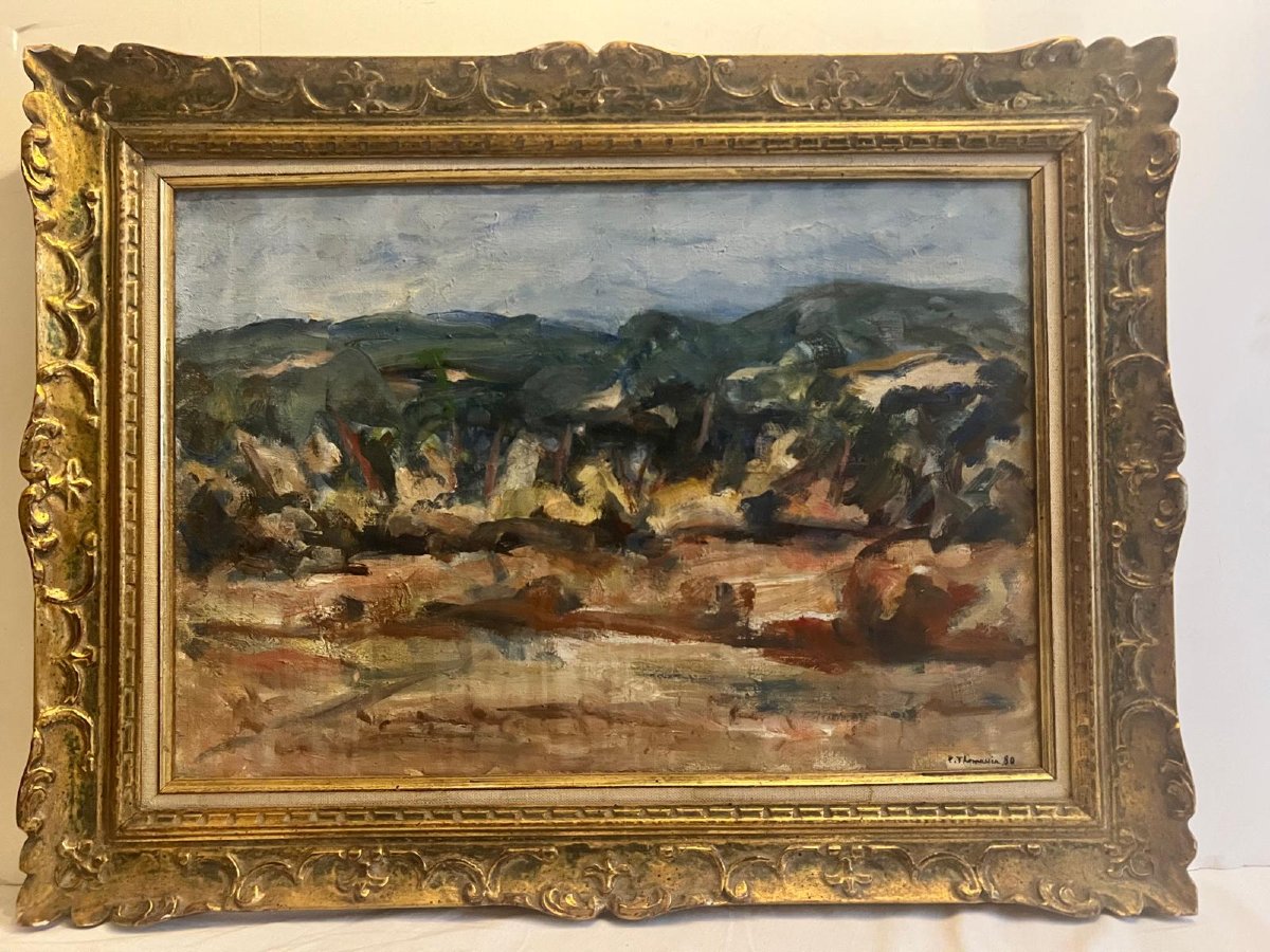 Tableau  Signé  Paul  Thomassin 80 Paysage très beau cadre sculpté en bois Huile sur toile. -photo-1