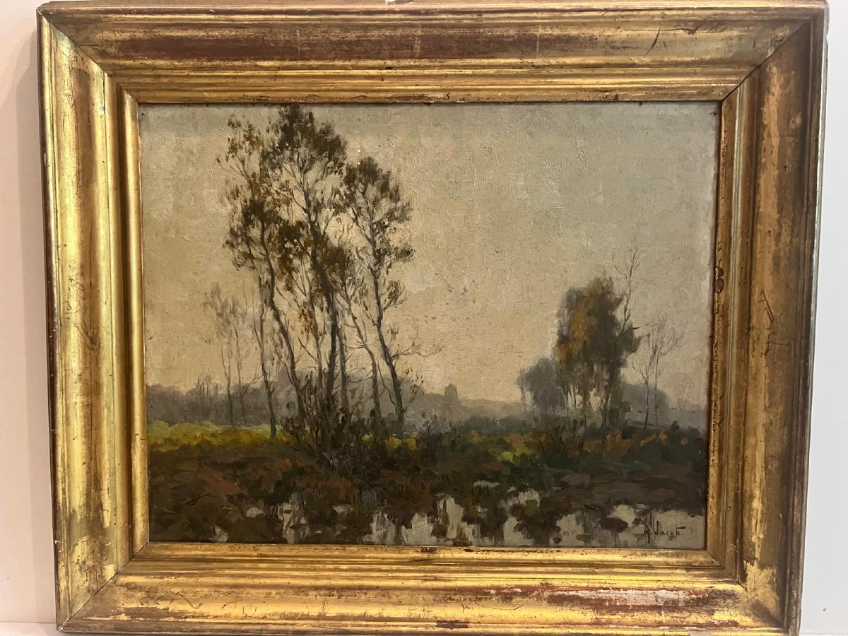 Tableau  Signé  Alexandre Jacob 1876-1972   Paysage  soir sous  le  marais. -photo-4