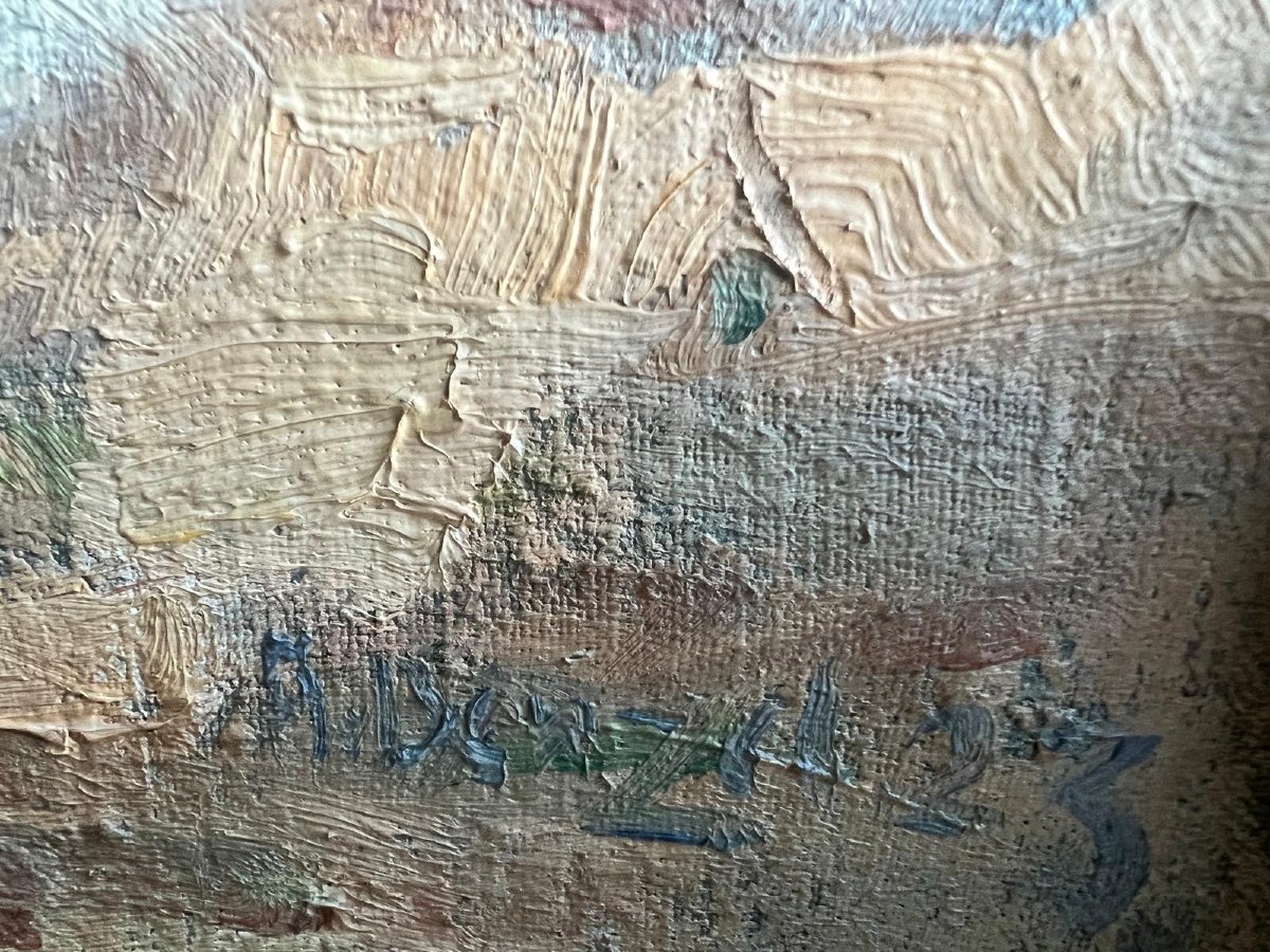 Tableau  Mare à Canards Signé Illisible  50 x  70 Huile sur  Toile  Signé Illisible -photo-4