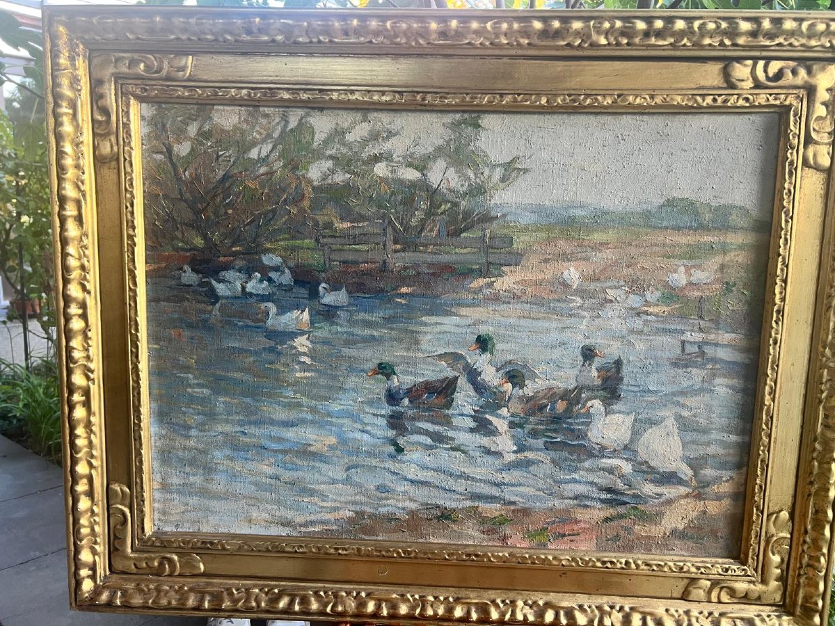 Tableau  Mare à Canards Signé Illisible  50 x  70 Huile sur  Toile  Signé Illisible 