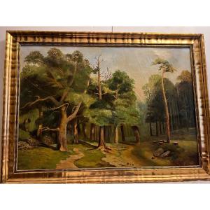 Tableau  Paysage  Forêt  XX  ème,  Huile  sur toile.  " Petite  restauration "