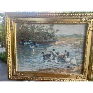 Tableau Mare à Canards Signé Illisible 50 x 70 Huile sur Toile Signé Illisible