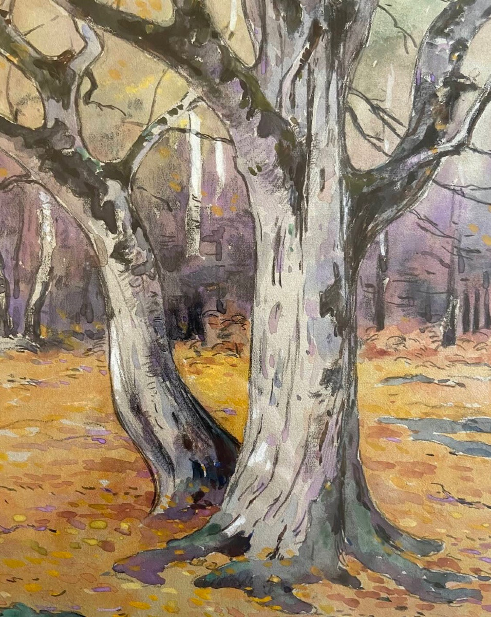 Drawing By Edouard Doigneau -photo-2