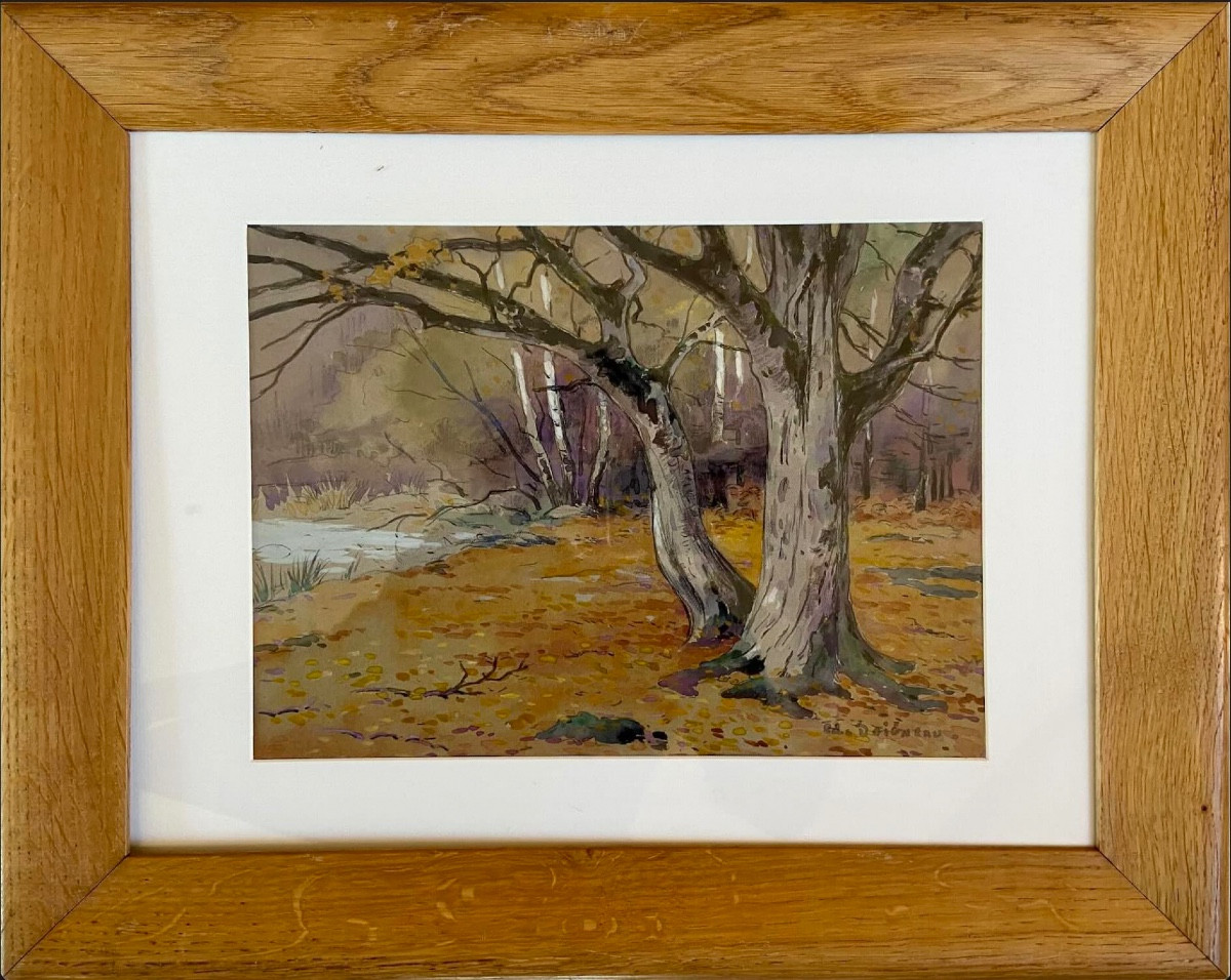 Drawing By Edouard Doigneau 