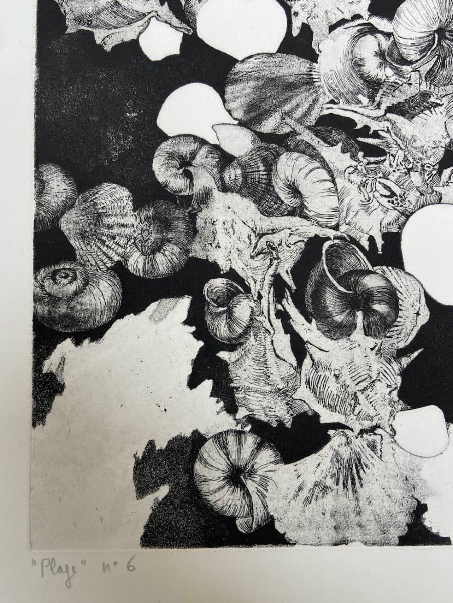 Gravure de Jean-Louis VIARD - Les coquillages-photo-2