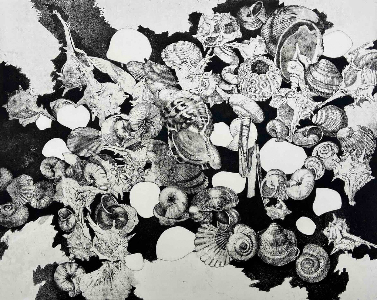 Gravure de Jean-Louis VIARD - Les coquillages