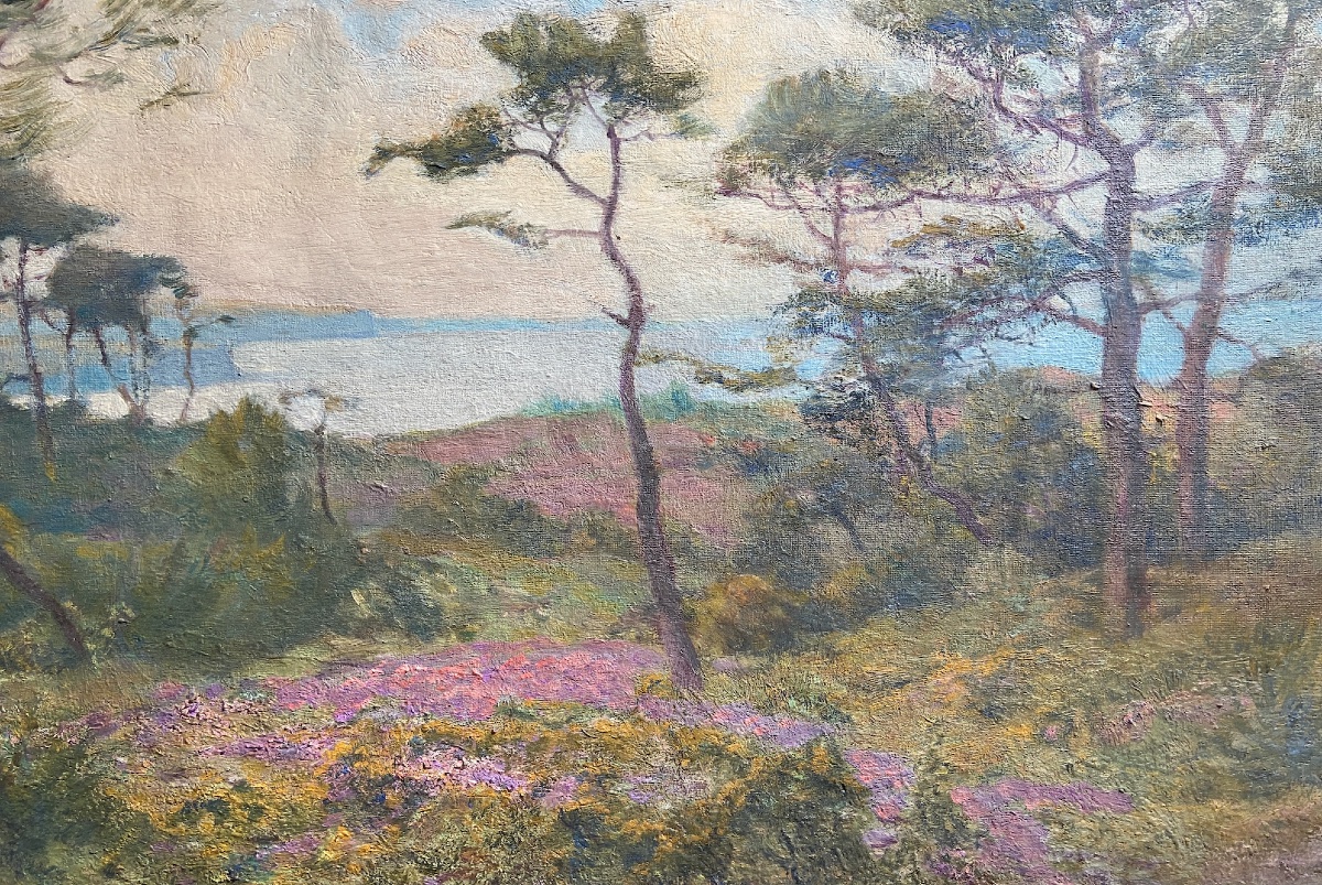 Huile sur toile de Samuel FRERE - Paysage breton aux pins -photo-1