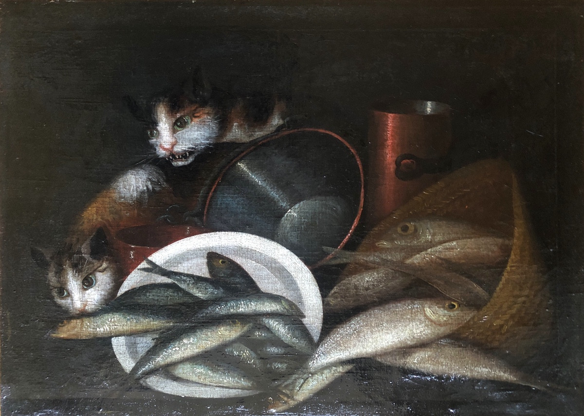 Nature Morte Espagnol XVIII siècle aux chats et poissons suiveur de Miguel Parra 