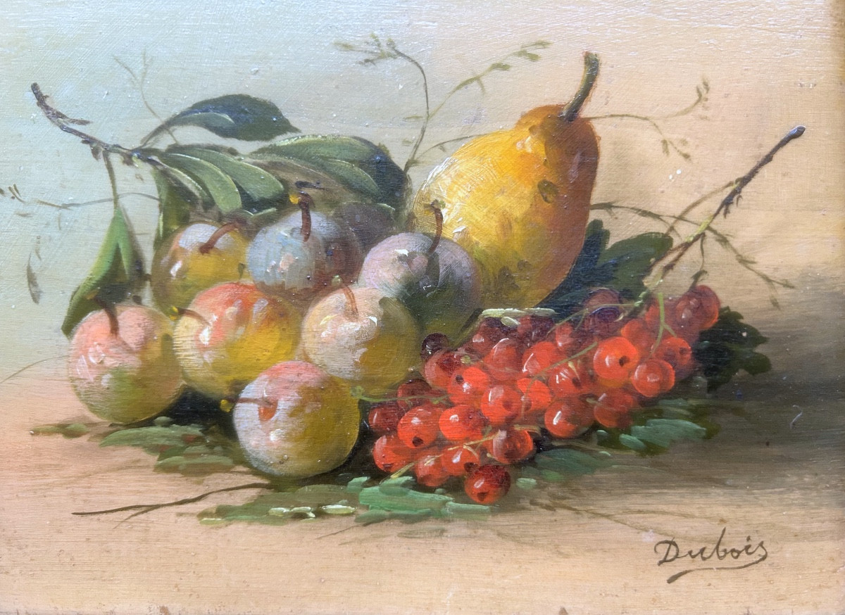 Nature morte, Art Nouveau, huile sur bois signée Dubois  II