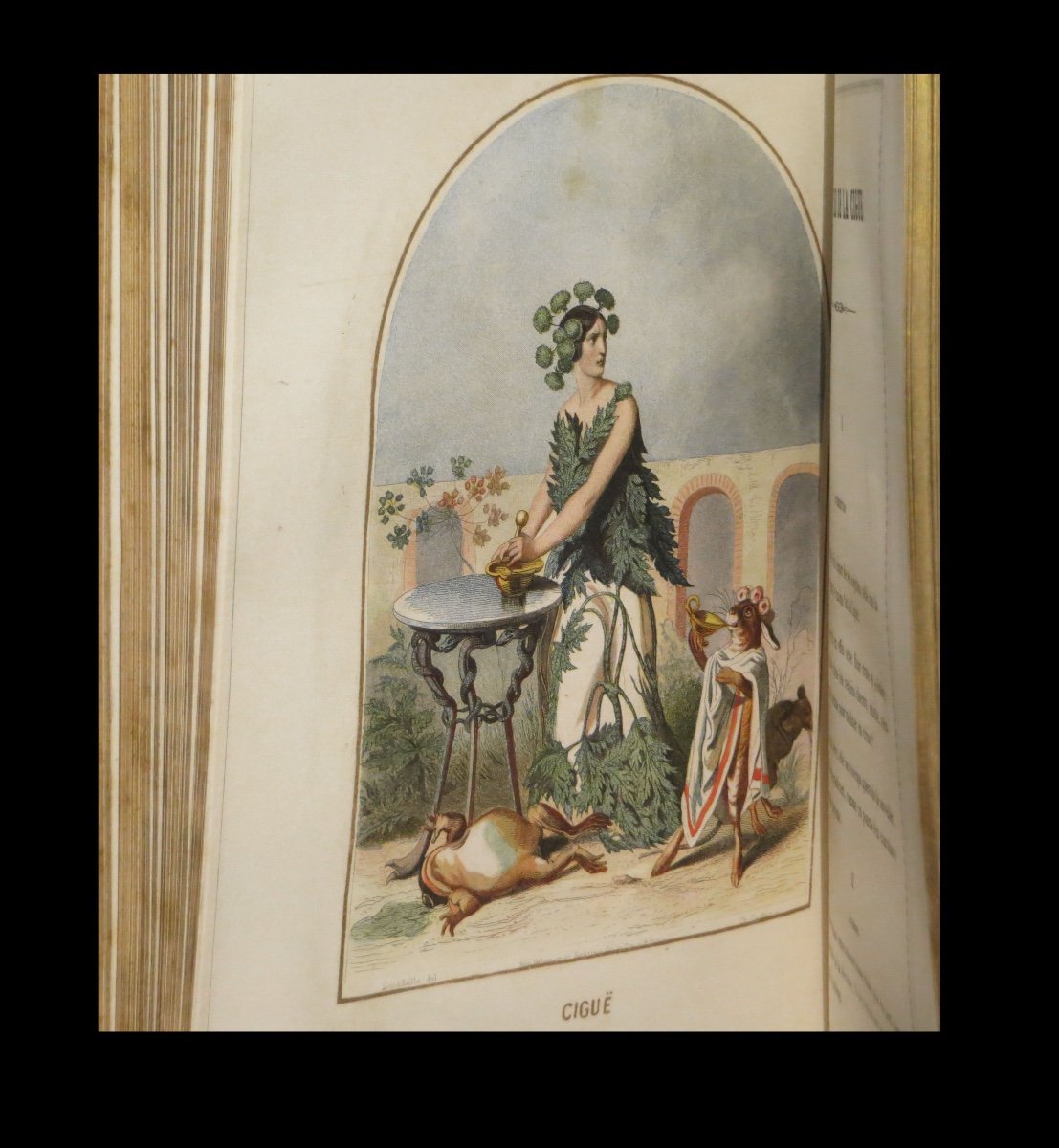 [botanical Horticulture Surrealism Bindings] Grandville - Animated Flowers. Complete.-photo-2