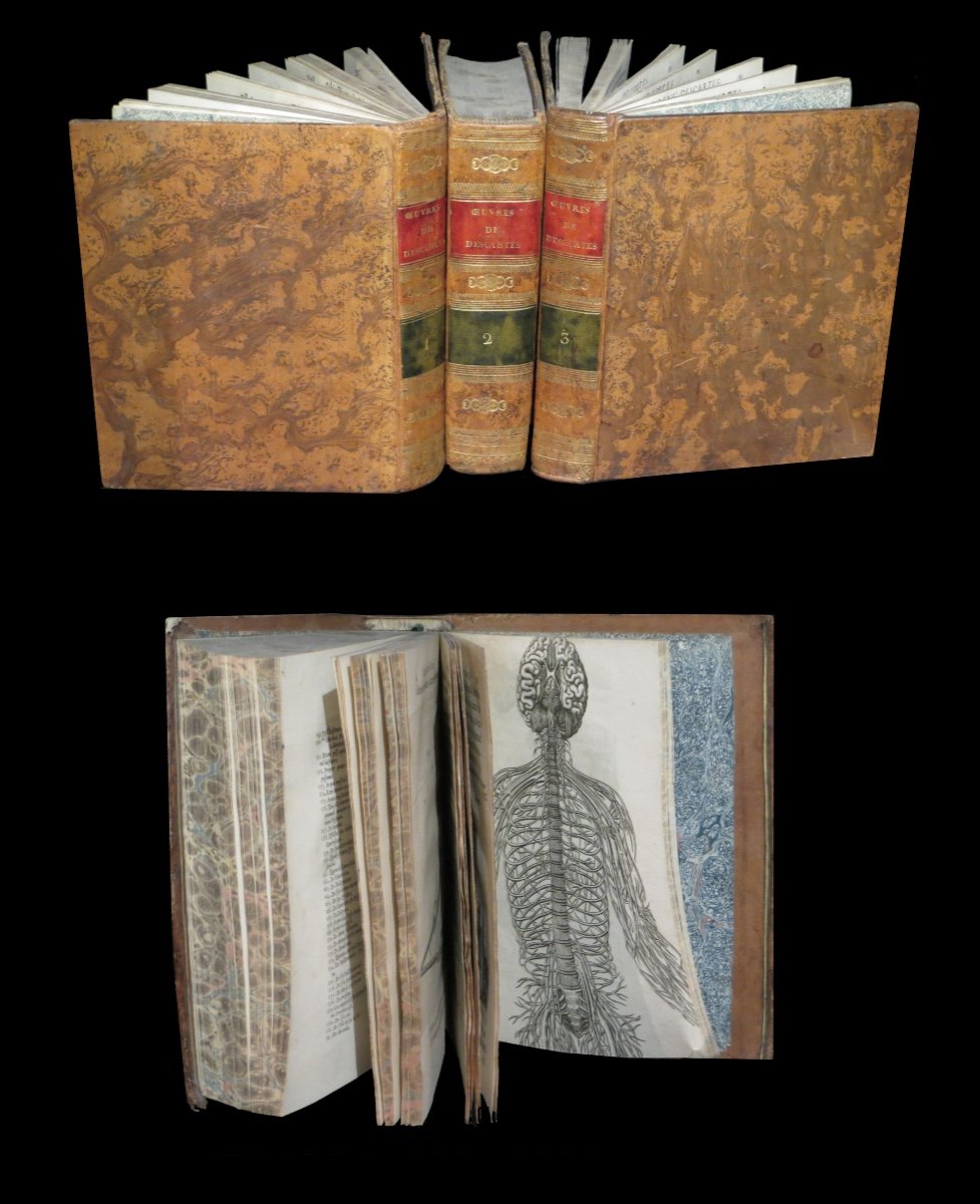 [philosophie Medecine Anatomie Méditations Passions De l'âme l'Homme] Descartes - Oeuvres 1650