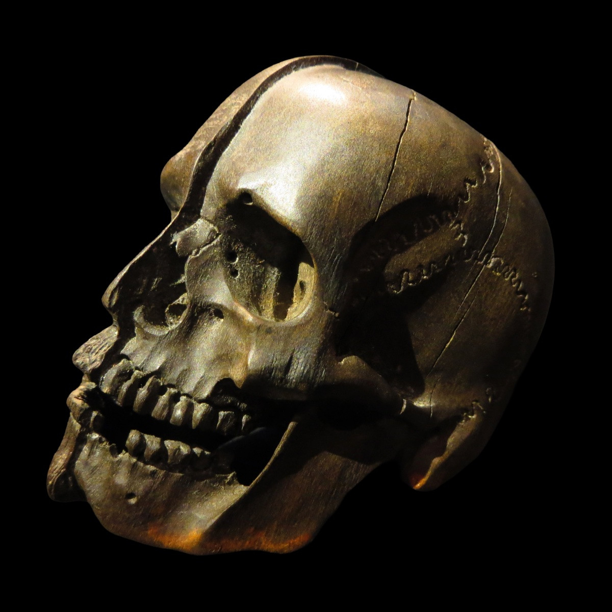 [CURIOSITE MEMENTO MORI VANITE] Tête de transi en bois : Demi-crâne et demi-visage humain-photo-2