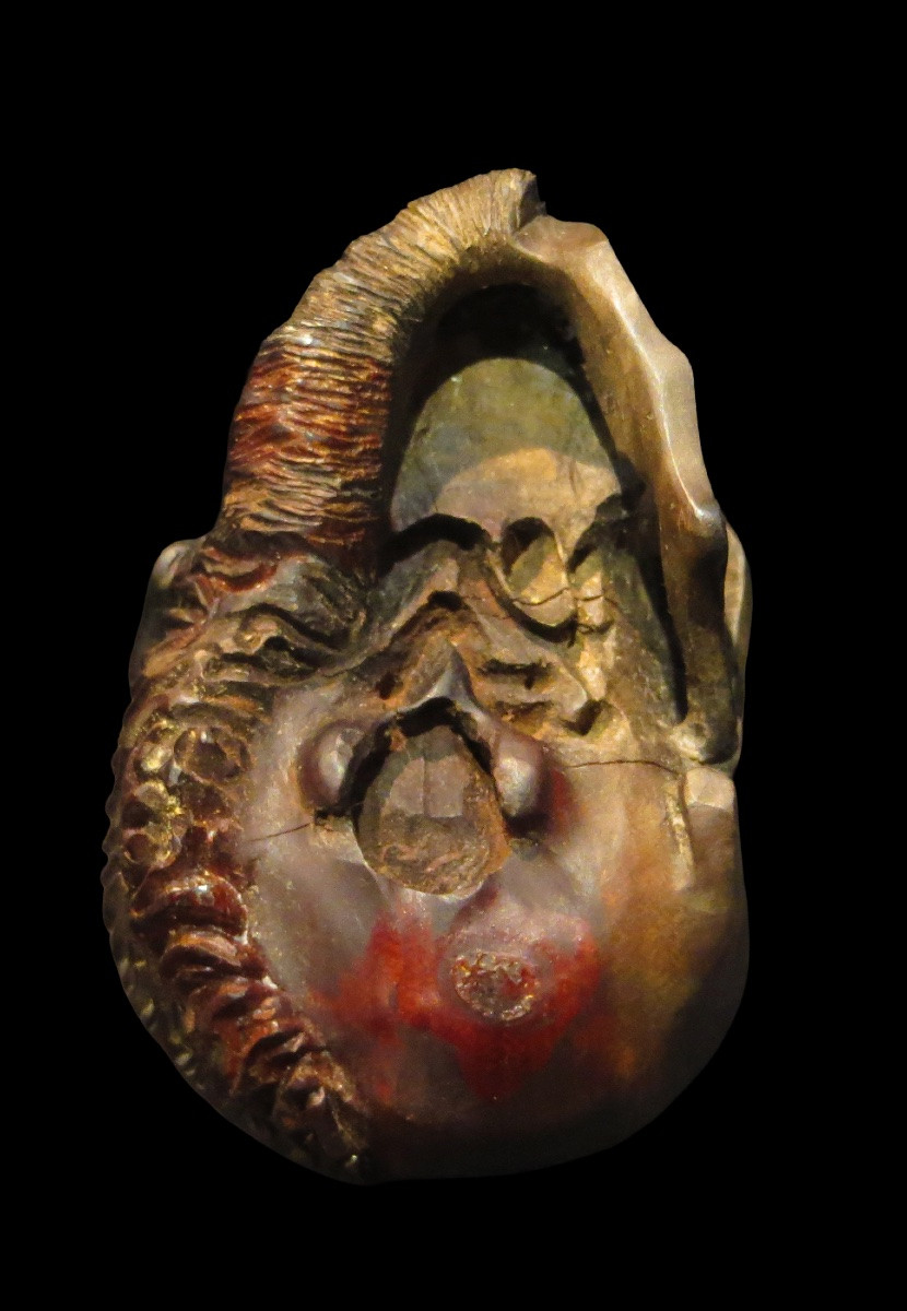 [CURIOSITE MEMENTO MORI VANITE] Tête de transi en bois : Demi-crâne et demi-visage humain-photo-4