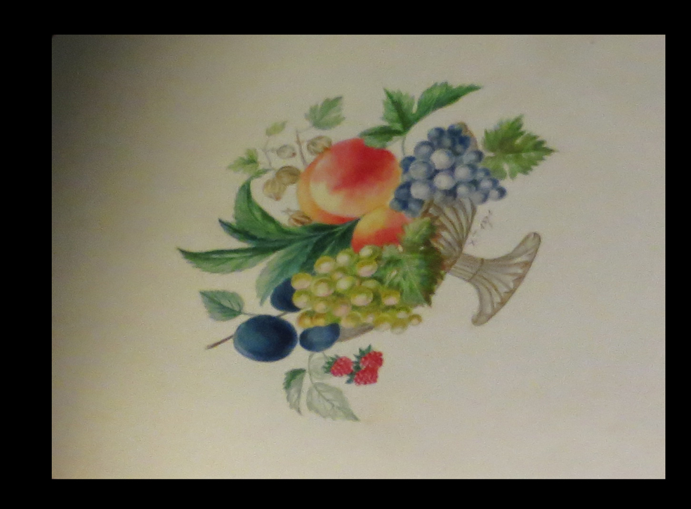 [botanique Binding] Album Of Delicates Original Drawings. 1872.-photo-1