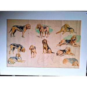 Edouard Doigneau The Hounds Of The Pack    