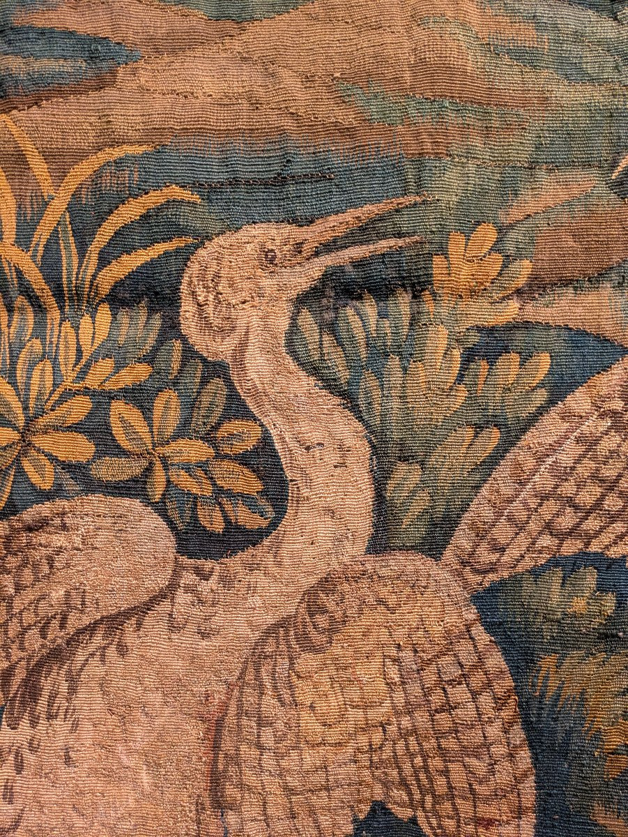 Flanders Tapestry – Greenery With Wading Birds – 18th Century-photo-2