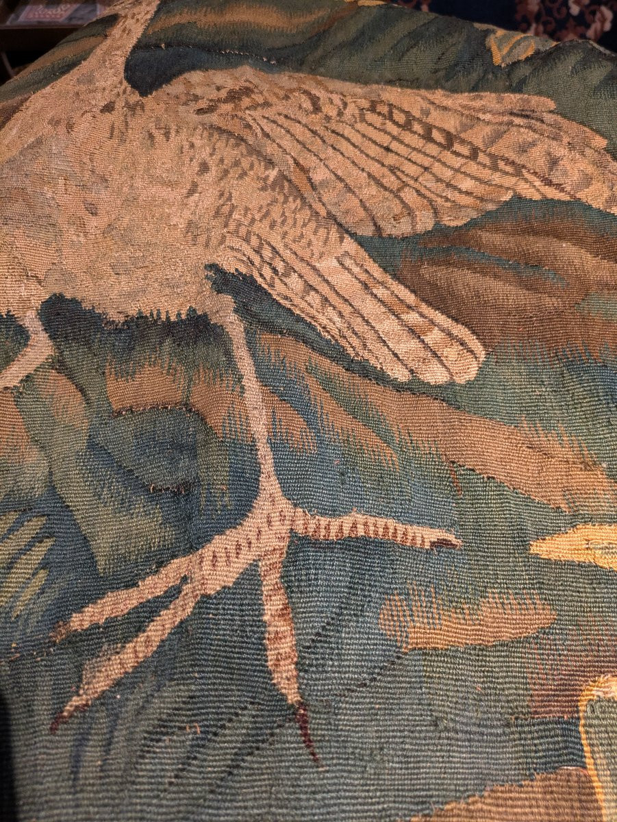 Flanders Tapestry – Greenery With Wading Birds – 18th Century-photo-3