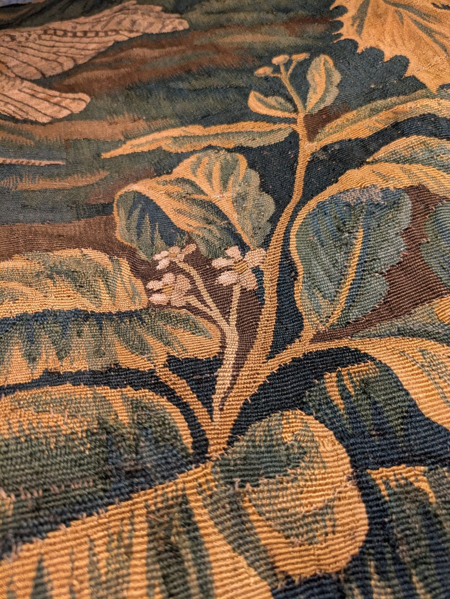 Flanders Tapestry – Greenery With Wading Birds – 18th Century-photo-4