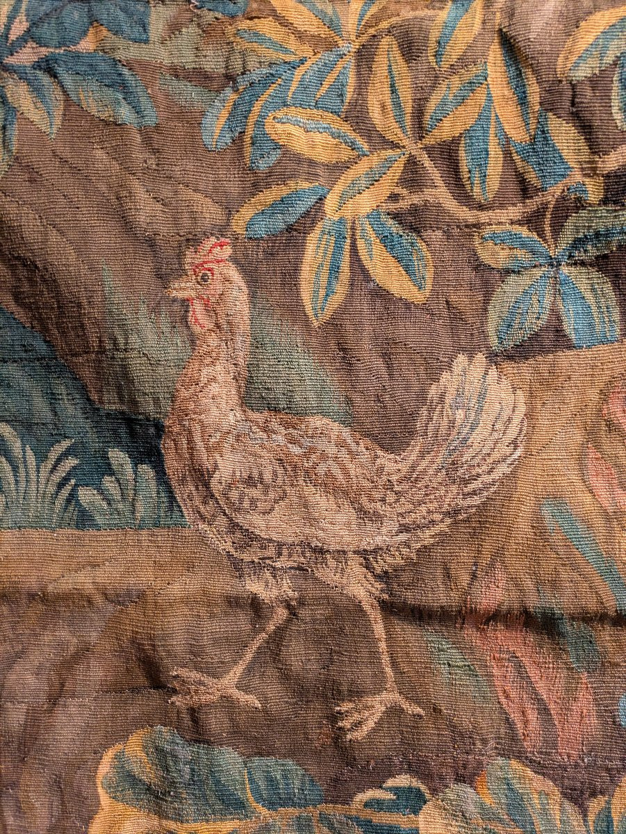 Flanders Tapestry – Greenery With Wading Birds – 18th Century-photo-2