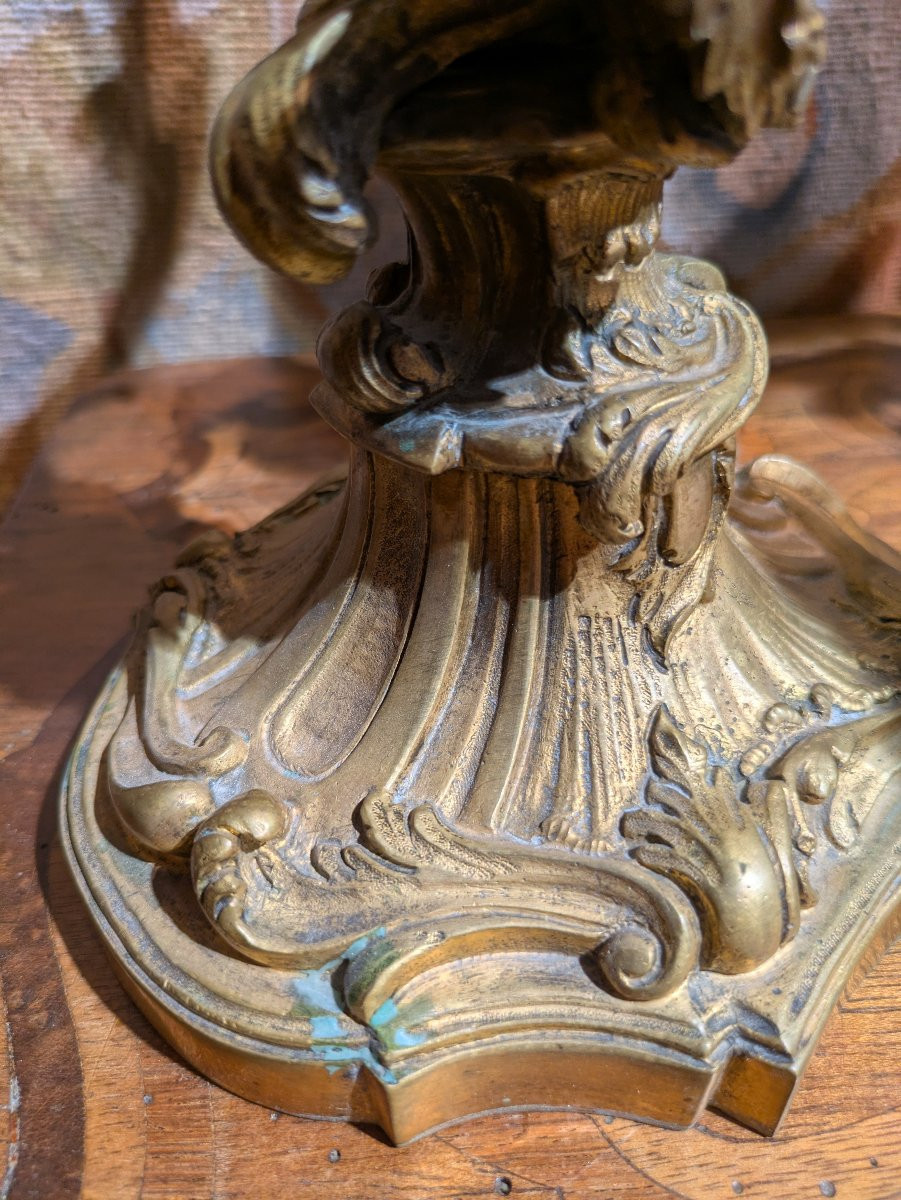 Paire de candélabres en bronze doré – Style Louis XV / Rocaille-photo-2